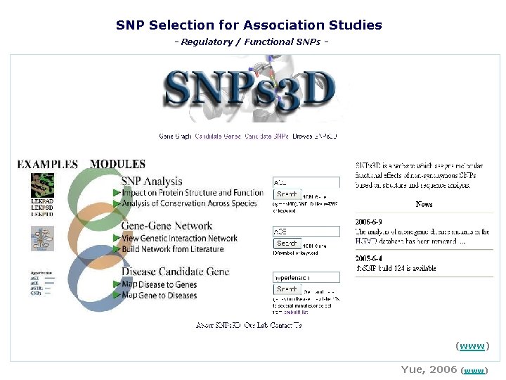 SNP Selection for Association Studies - Regulatory / Functional SNPs - (www) Yue, 2006