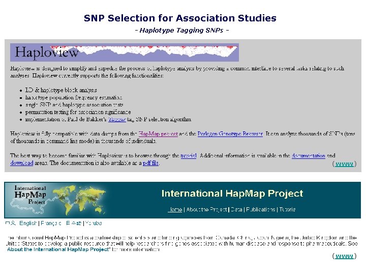 SNP Selection for Association Studies - Haplotype Tagging SNPs - (www) 