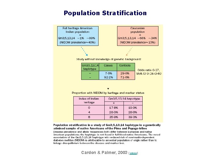 Population Stratification Cardon & Palmer, 2003 (www) 