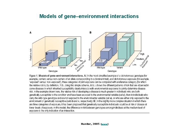 Models of gene–environment interactions Hunter, 2005 (www) 