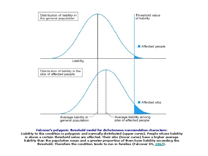 Falconer's polygenic threshold model for dichotomous nonmendelian characters: Liability to the condition is polygenic