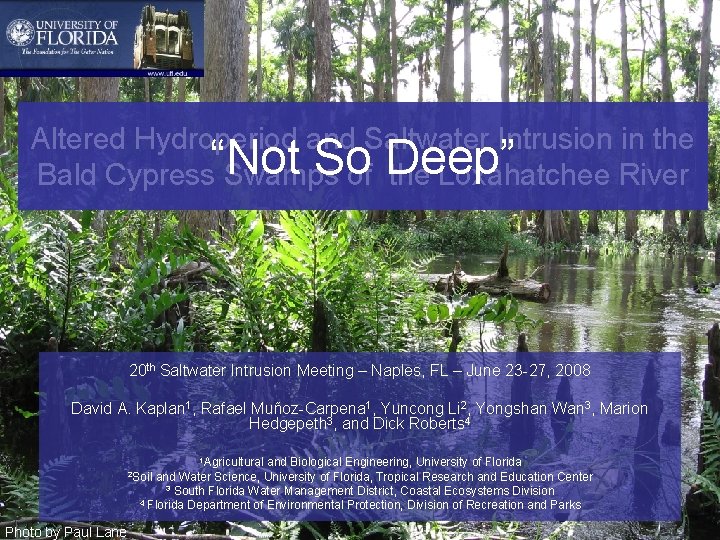 Altered Hydroperiod and Saltwater Intrusion in the Bald Cypress Swamps of the Loxahatchee River