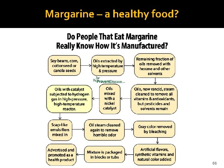 Margarine – a healthy food? 66 