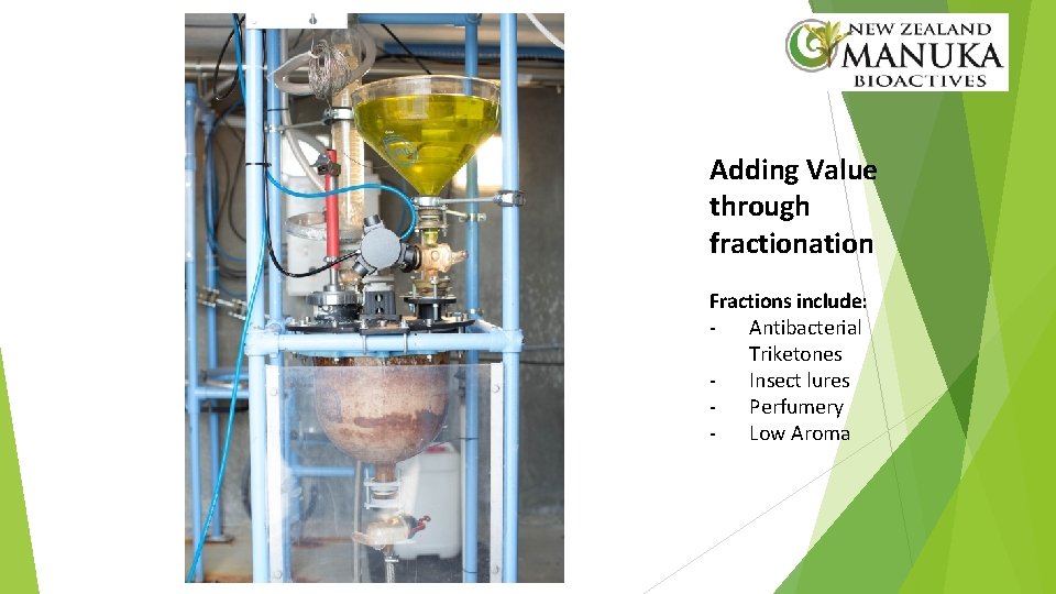 Adding Value through fractionation Fractions include: - Antibacterial Triketones - Insect lures - Perfumery