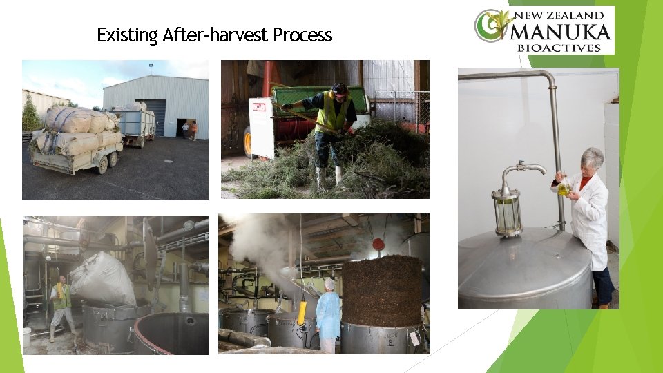 Existing After-harvest Process 