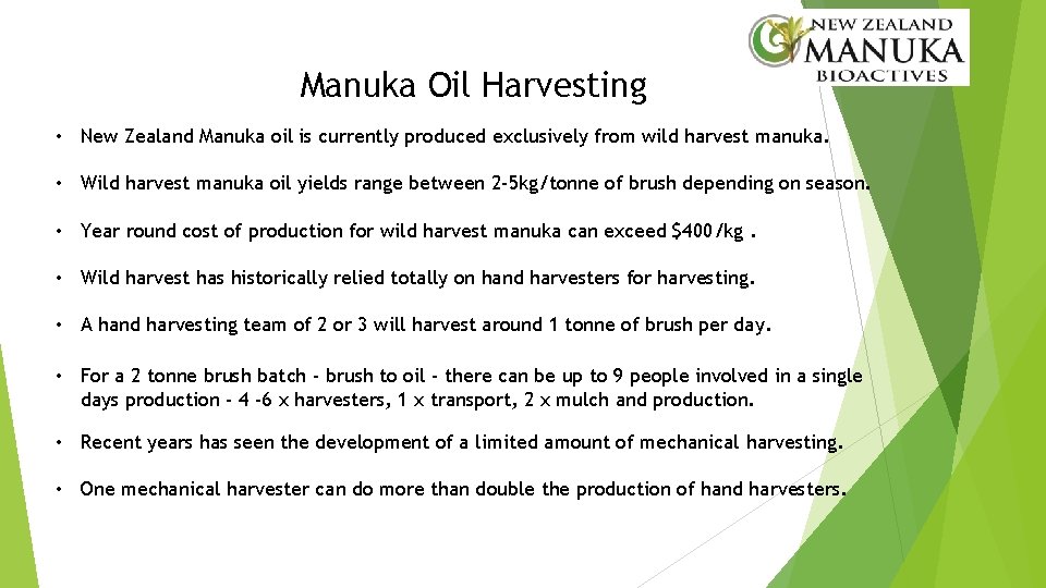 Manuka Oil Harvesting • New Zealand Manuka oil is currently produced exclusively from wild