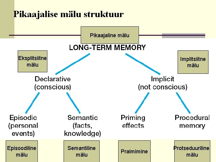 Pikaajalise mälu struktuur Pikaajaline mälu Eksplitsiitne mälu Episoodiline mälu Implitsiitne mälu Semantiline mälu Praimimine