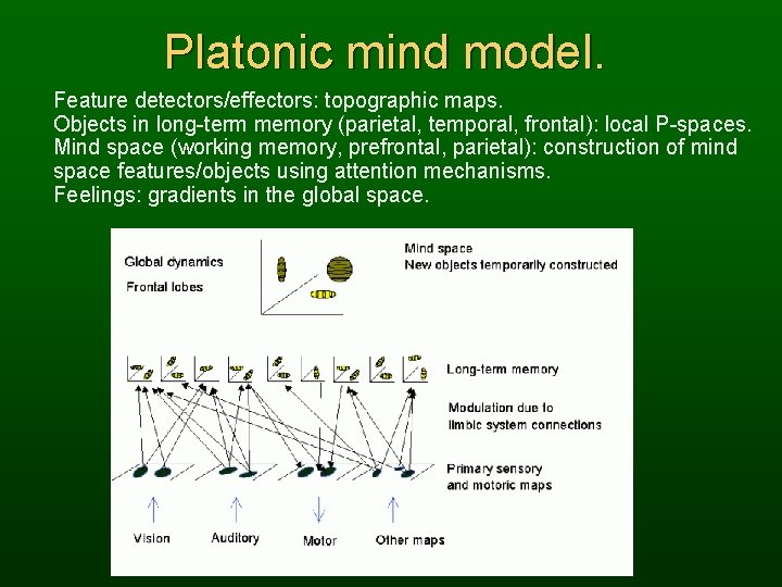 Platonic mind model. Feature detectors/effectors: topographic maps. Objects in long-term memory (parietal, temporal, frontal):