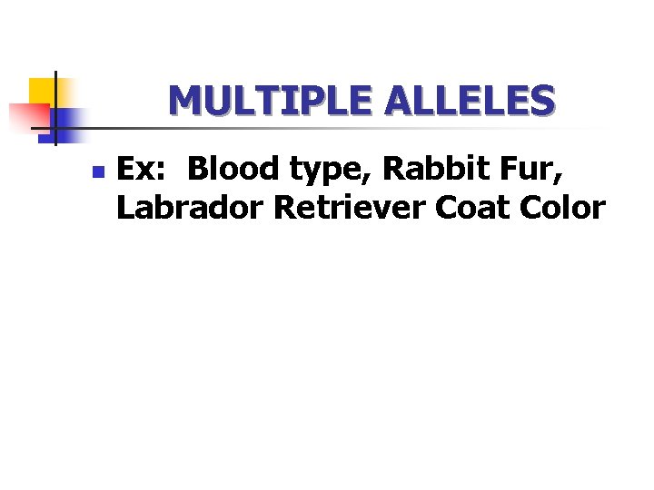 MULTIPLE ALLELES n Ex: Blood type, Rabbit Fur, Labrador Retriever Coat Color 