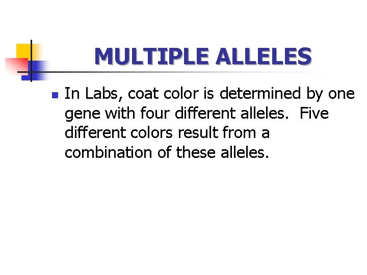MULTIPLE ALLELES n In Labs, coat color is determined by one gene with four