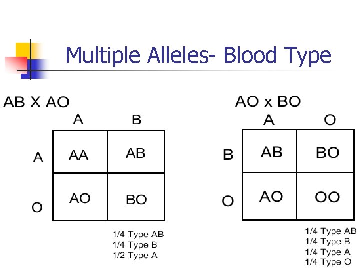 Multiple Alleles- Blood Type 