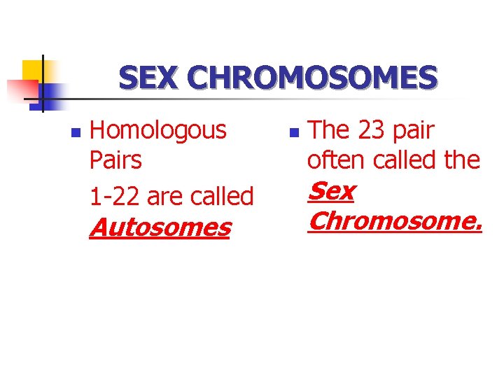 SEX CHROMOSOMES n Homologous Pairs 1 -22 are called Autosomes n The 23 pair
