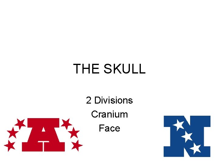 THE SKULL 2 Divisions Cranium Face 