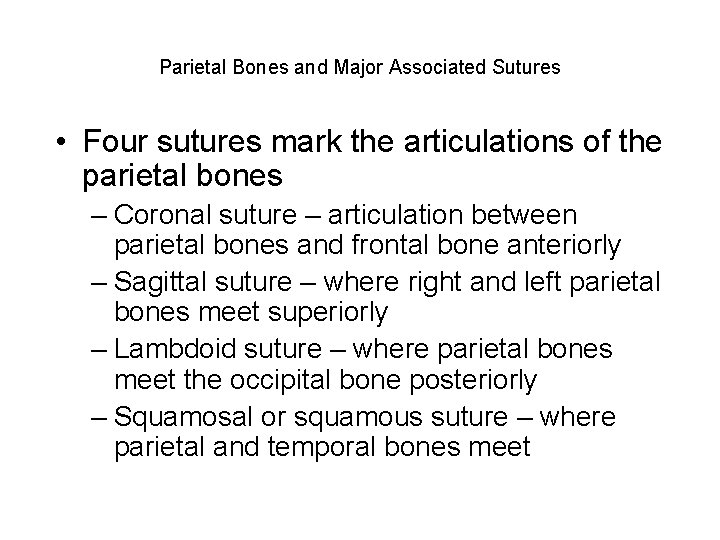 Parietal Bones and Major Associated Sutures • Four sutures mark the articulations of the