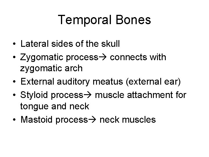 Temporal Bones • Lateral sides of the skull • Zygomatic process connects with zygomatic