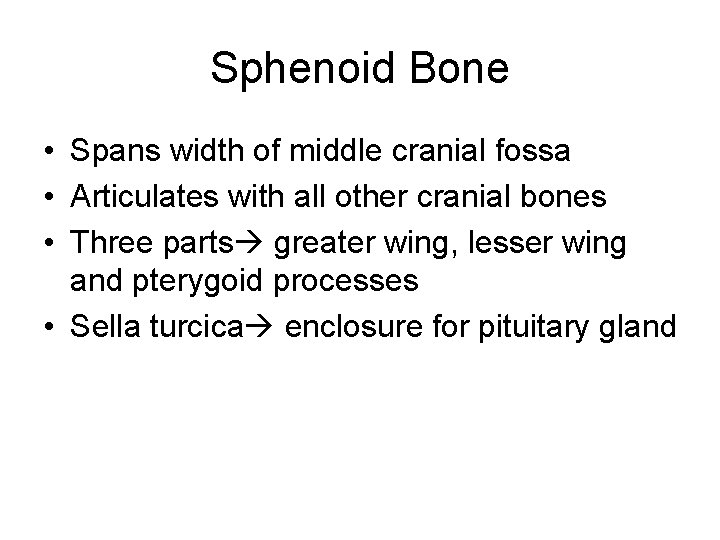 Sphenoid Bone • Spans width of middle cranial fossa • Articulates with all other