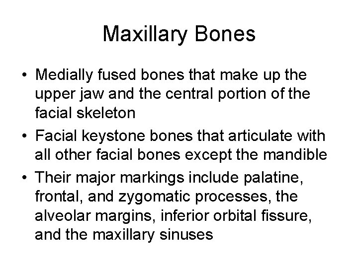 Maxillary Bones • Medially fused bones that make up the upper jaw and the