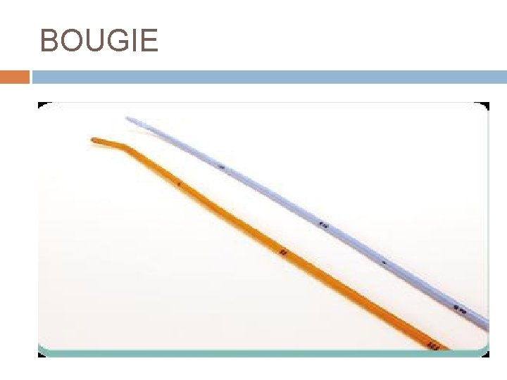 BOUGIE 