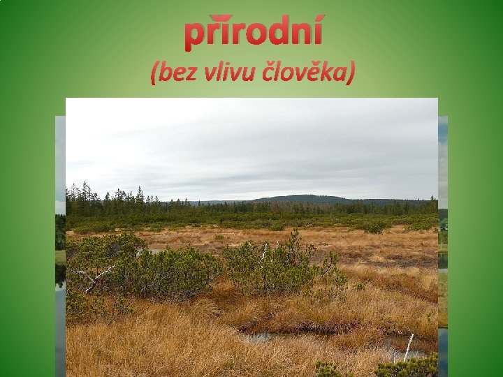 přírodní (bez vlivu člověka) přírodní (bez vlivu člověka)