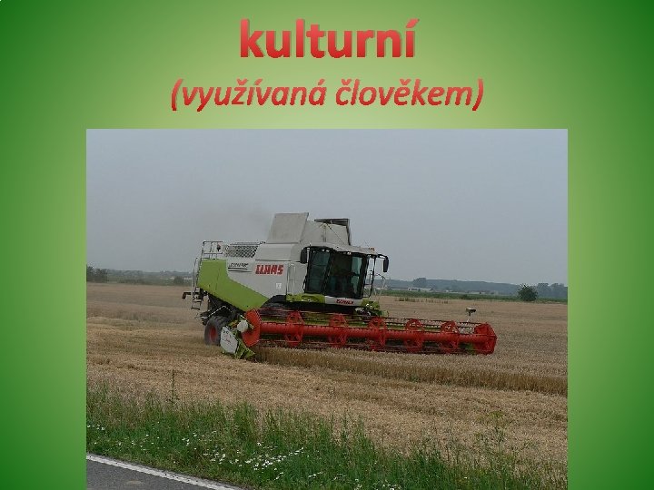 kulturní (využívaná člověkem) kulturní (využívaná člověkem)