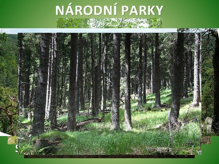 NÁRODNÍ PARKY České Švýcarsko Šumava Krkonošský Podyjí NÁRODNÍ PARKY České Švýcarsko Šumava Krkonošský Podyjí