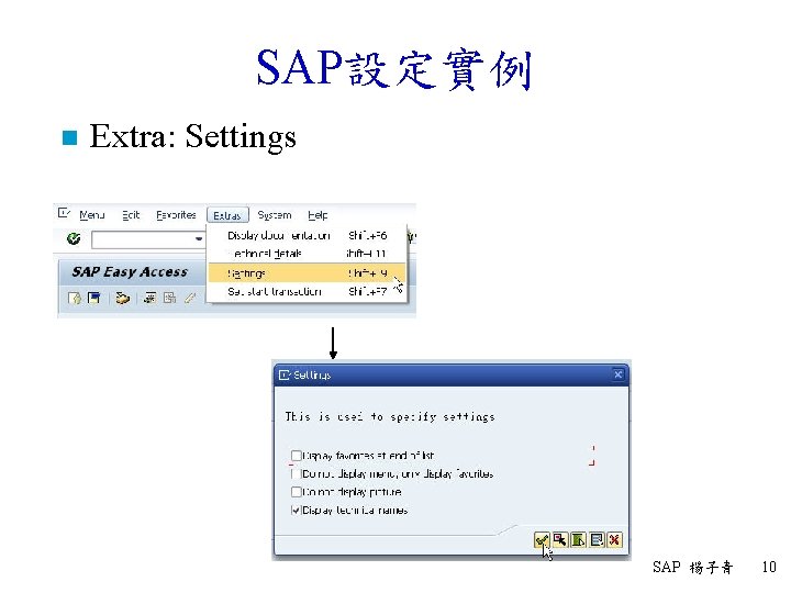 SAP設定實例 n Extra: Settings SAP 楊子青 10 