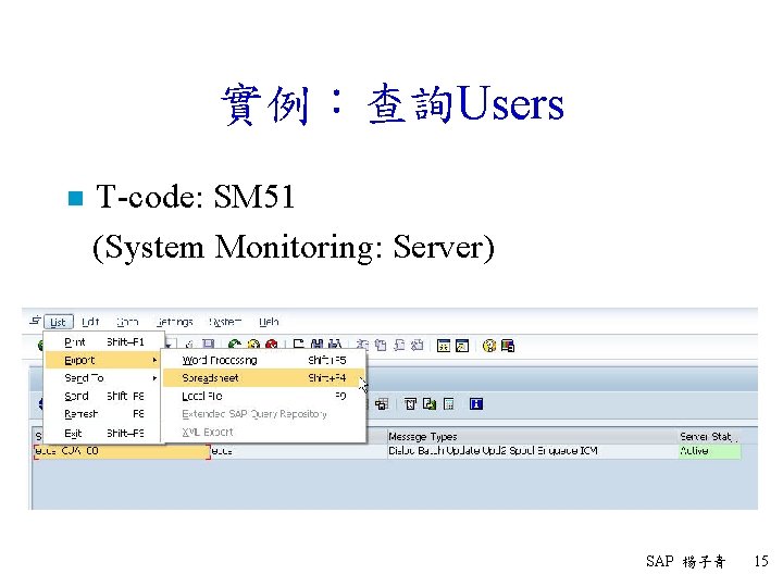 實例：查詢Users n T-code: SM 51 (System Monitoring: Server) SAP 楊子青 15 