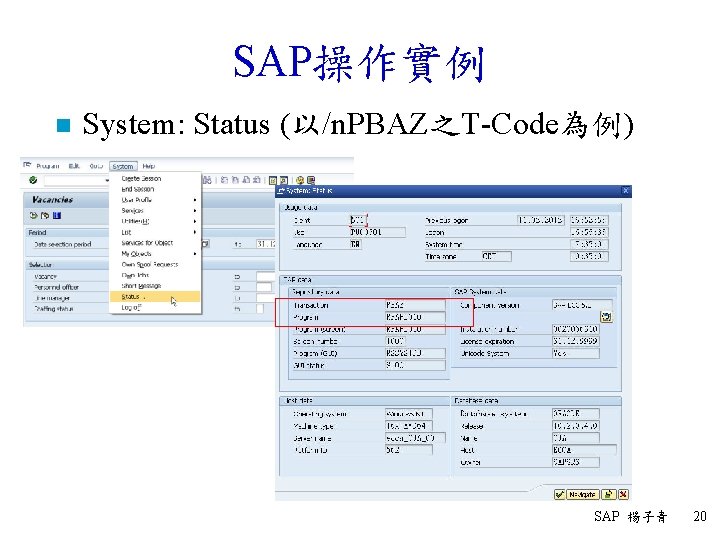 SAP操作實例 n System: Status (以/n. PBAZ之T-Code為例) SAP 楊子青 20 