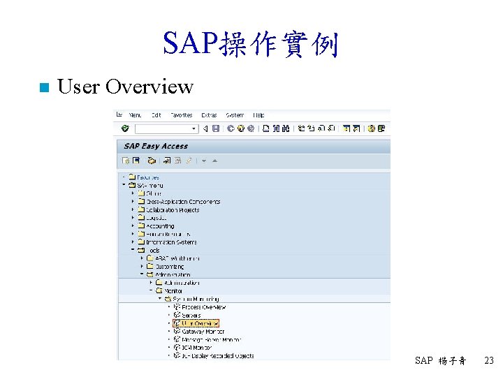 SAP操作實例 n User Overview SAP 楊子青 23 