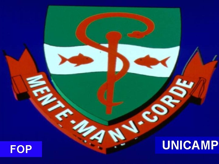 FOP UNICAMP 