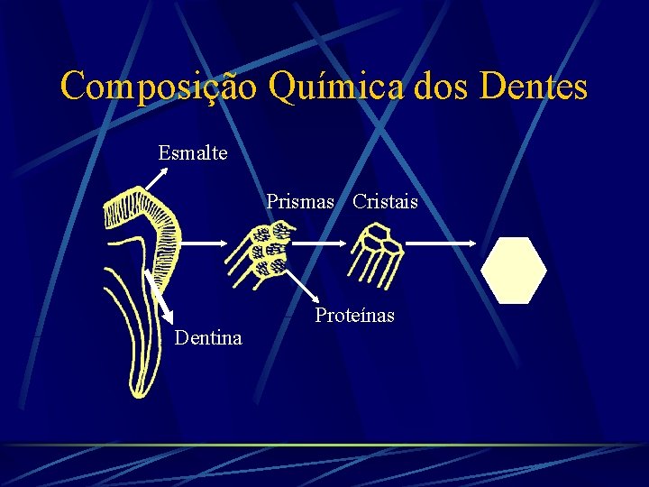 Composição Química dos Dentes Esmalte Prismas Cristais Dentina Proteínas 