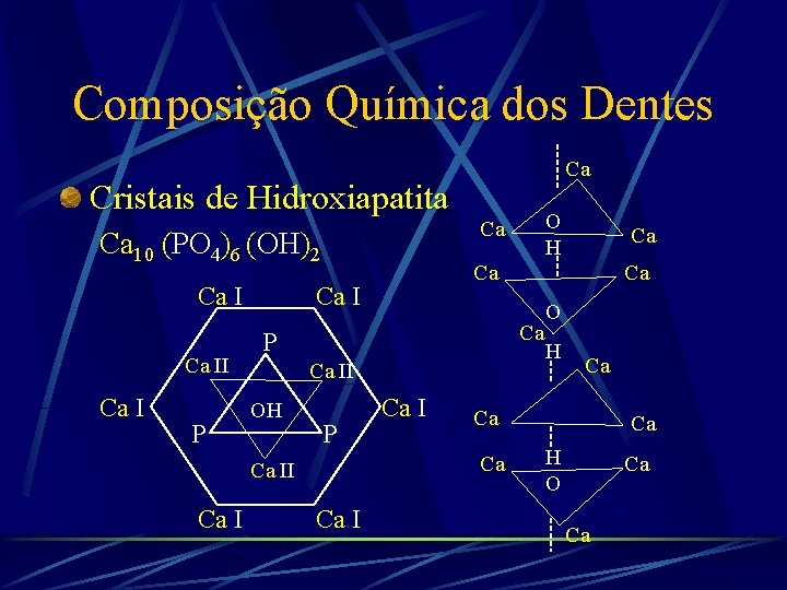 Composição Química dos Dentes Cristais de Hidroxiapatita Ca 10 (PO 4)6 (OH)2 Ca II