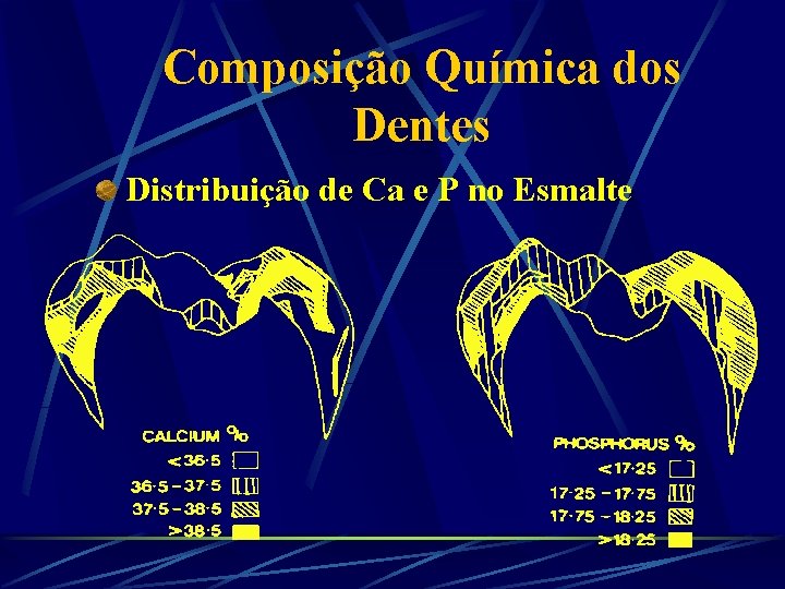 Composição Química dos Dentes Distribuição de Ca e P no Esmalte 