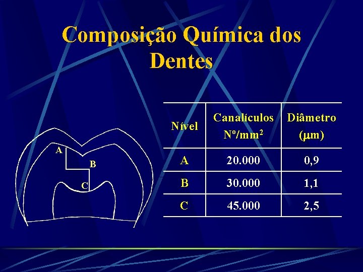 Composição Química dos Dentes A B C Nível Canalículos Nº/mm 2 Diâmetro ( m)