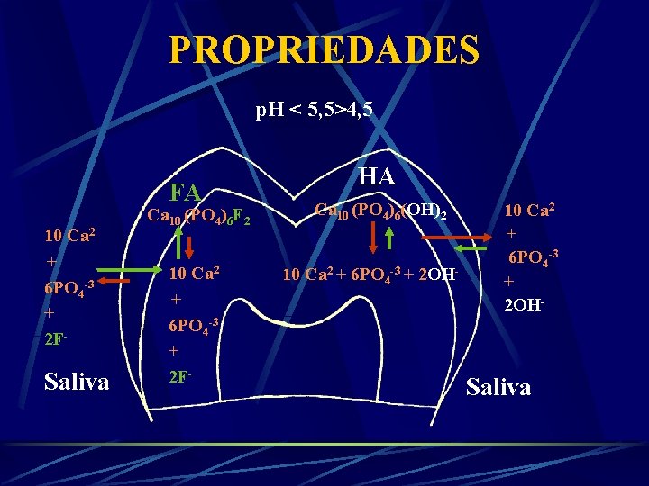 PROPRIEDADES p. H < 5, 5>4, 5 FA 10 Ca 2 + 6 PO