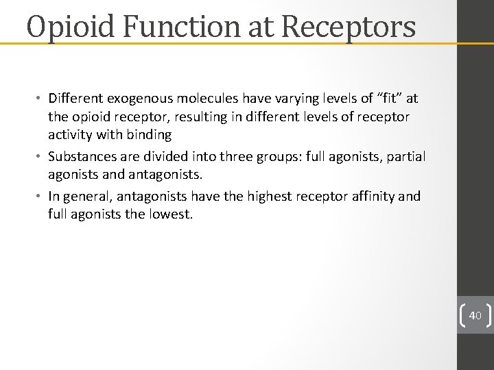 Opioid Function at Receptors • Different exogenous molecules have varying levels of “fit” at