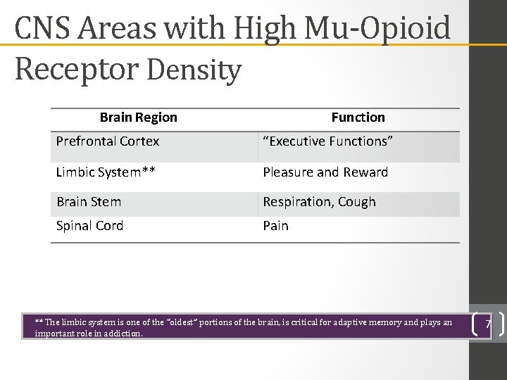 CNS Areas with High Mu-Opioid Receptor Density Brain Region Function Prefrontal Cortex “Executive Functions”