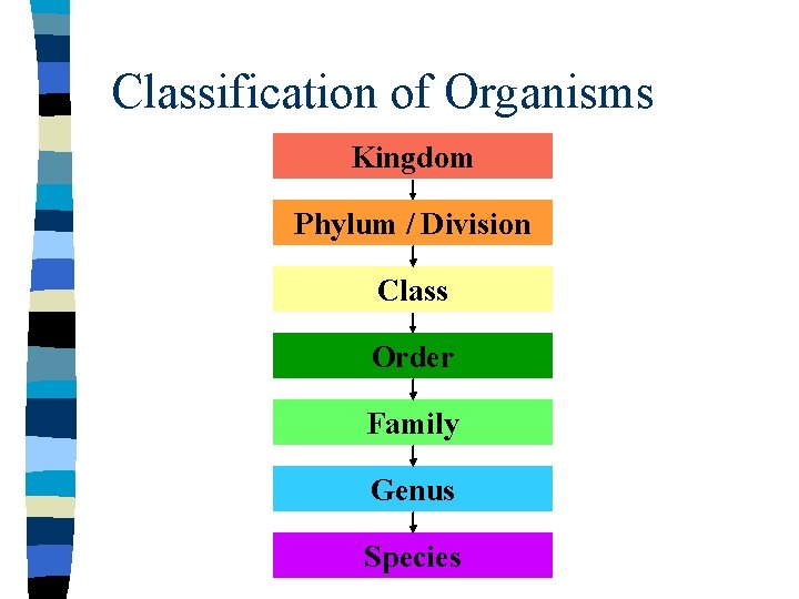 Classification of Organisms Kingdom Phylum / Division Class Order Family Genus Species 