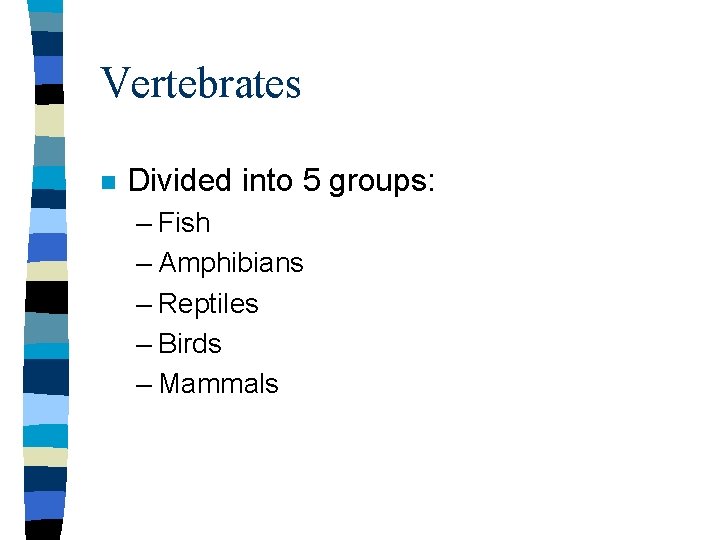 Vertebrates n Divided into 5 groups: – Fish – Amphibians – Reptiles – Birds