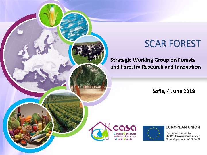 SCAR FOREST Strategic Working Group on Forests and Forestry Research and Innovation Sofia, 4