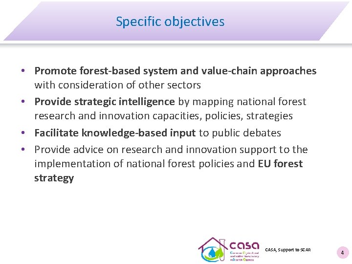 Specific objectives • Promote forest-based system and value-chain approaches with consideration of other sectors