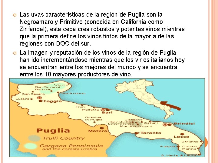  Las uvas características de la región de Puglia son la Negroamaro y Primitivo