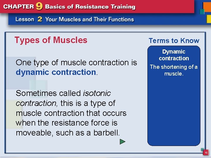 Types of Muscles One type of muscle contraction is dynamic contraction. Terms to Know