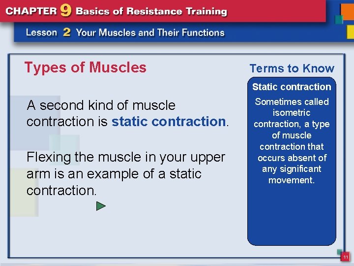 Types of Muscles Terms to Know Static contraction A second kind of muscle contraction