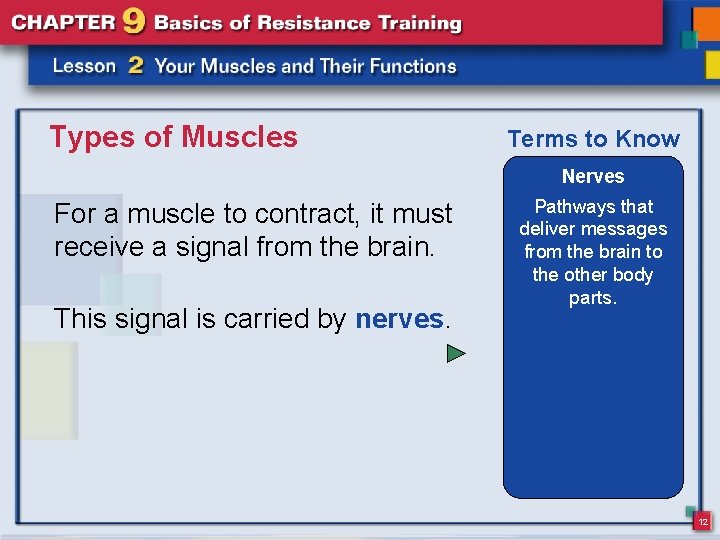 Types of Muscles Terms to Know Nerves For a muscle to contract, it must