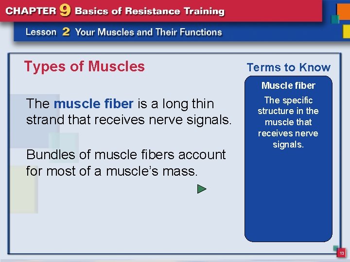 Types of Muscles Terms to Know Muscle fiber The muscle fiber is a long