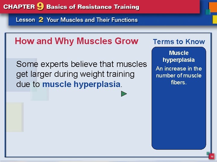 How and Why Muscles Grow Some experts believe that muscles get larger during weight
