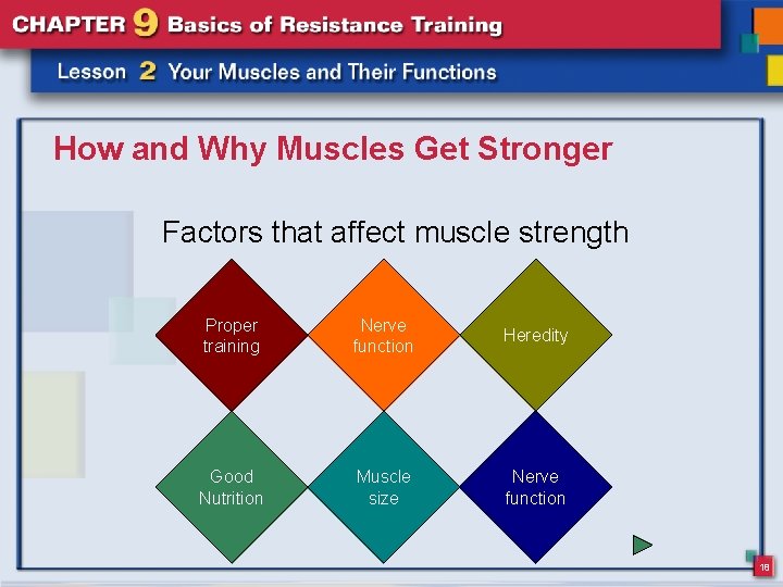 How and Why Muscles Get Stronger Factors that affect muscle strength Proper training Nerve