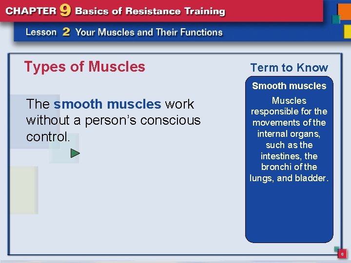 Types of Muscles Term to Know Smooth muscles The smooth muscles work without a