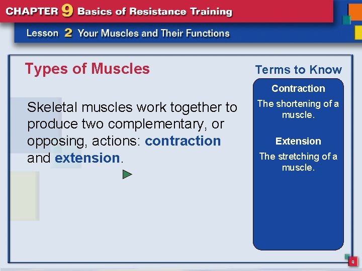 Types of Muscles Terms to Know Contraction Skeletal muscles work together to produce two